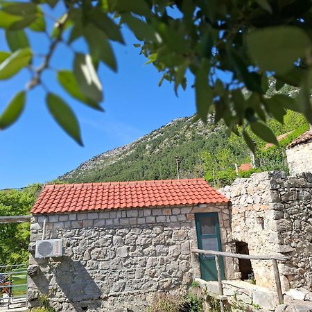 Cottage Melita The Apartment For Animal Lovers Babino Polje Luaran gambar