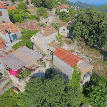 Cottage Melita The Apartment For Animal Lovers Babino Polje Luaran gambar