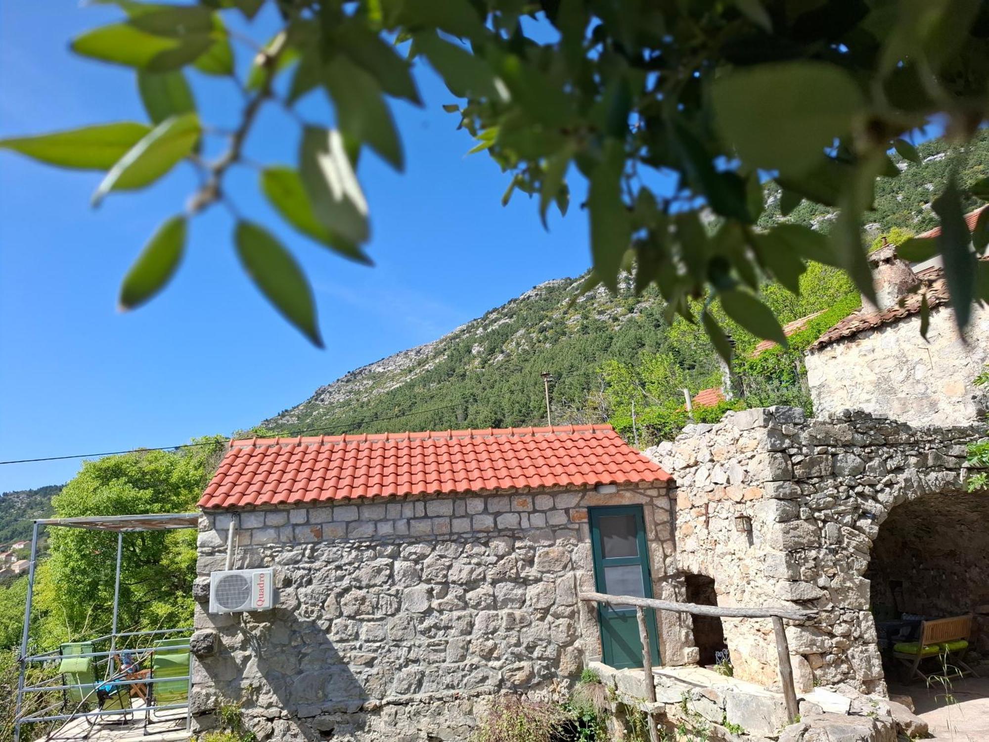 Cottage Melita The Apartment For Animal Lovers Babino Polje Luaran gambar