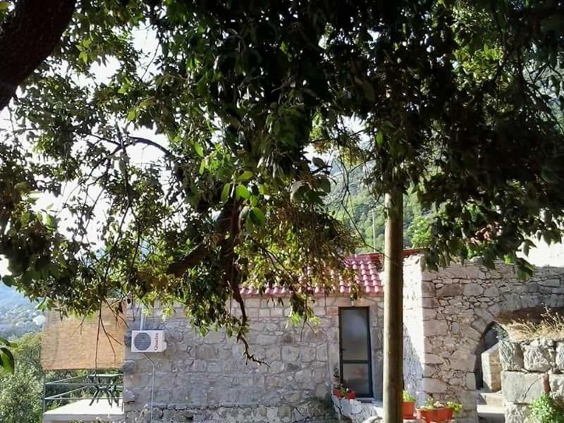 Cottage Melita The Apartment For Animal Lovers Babino Polje Luaran gambar