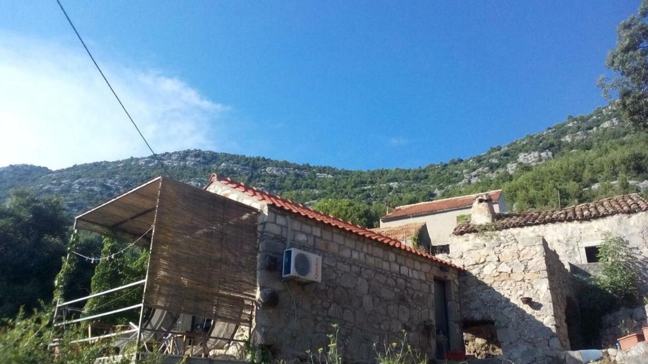 Cottage Melita The Apartment For Animal Lovers Babino Polje Luaran gambar