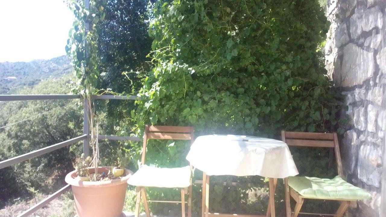 Cottage Melita The Apartment For Animal Lovers Babino Polje Luaran gambar