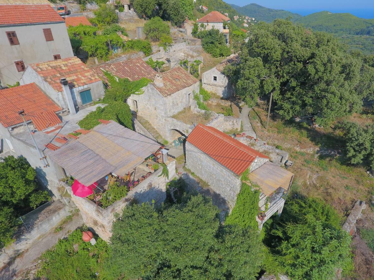 Cottage Melita The Apartment For Animal Lovers Babino Polje Luaran gambar