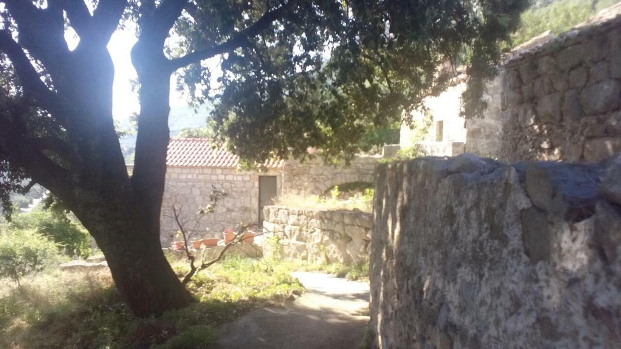 Cottage Melita The Apartment For Animal Lovers Babino Polje Luaran gambar
