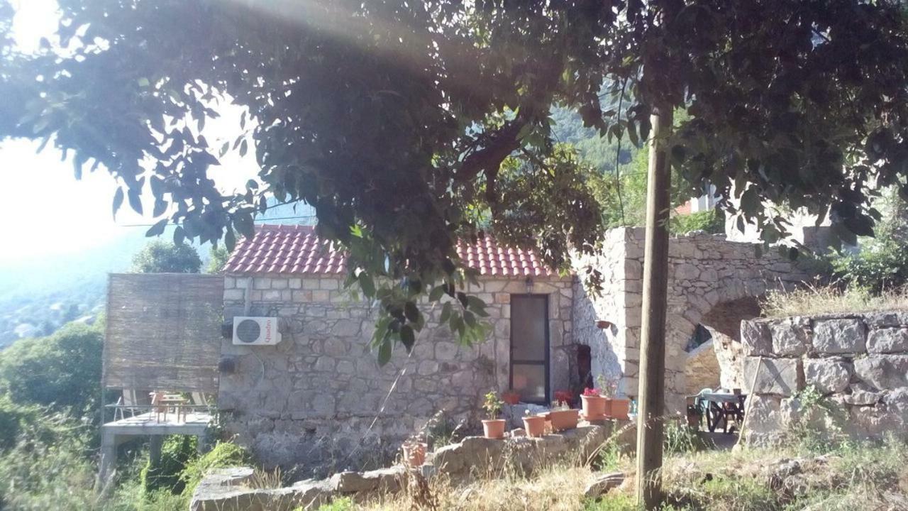 Cottage Melita The Apartment For Animal Lovers Babino Polje Luaran gambar
