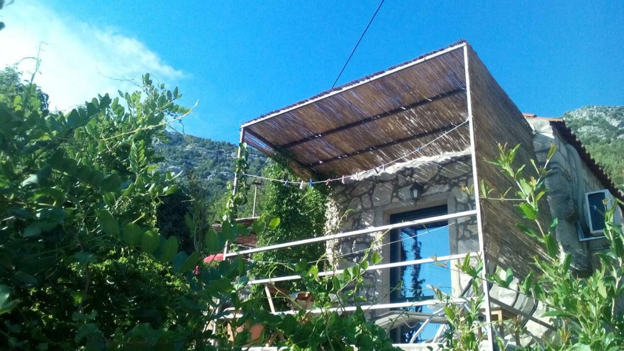Cottage Melita The Apartment For Animal Lovers Babino Polje Luaran gambar
