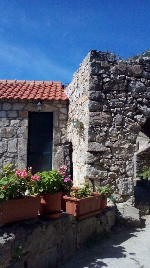 Cottage Melita The Apartment For Animal Lovers Babino Polje Luaran gambar
