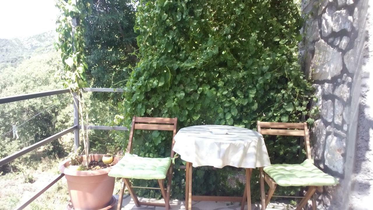 Cottage Melita The Apartment For Animal Lovers Babino Polje Luaran gambar