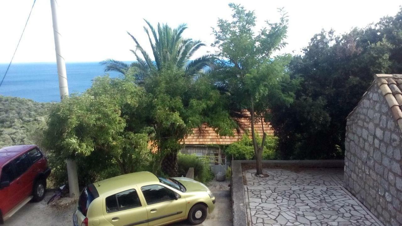 Cottage Melita The Apartment For Animal Lovers Babino Polje Luaran gambar