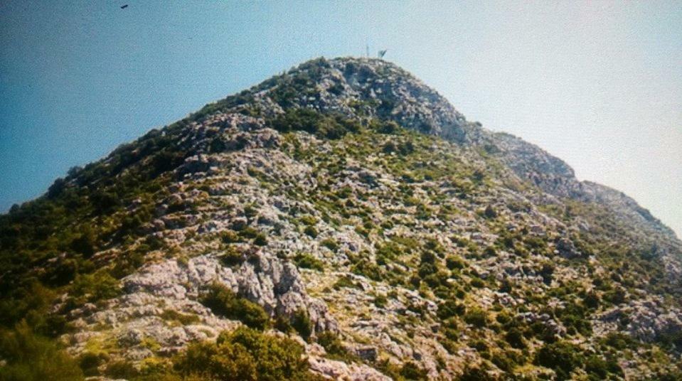 Cottage Melita The Apartment For Animal Lovers Babino Polje Luaran gambar
