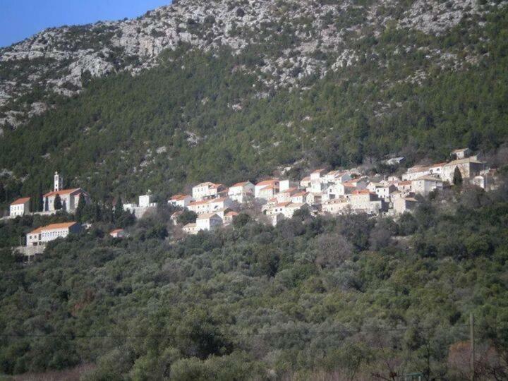 Cottage Melita The Apartment For Animal Lovers Babino Polje Luaran gambar