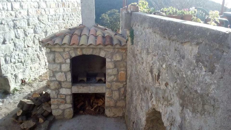 Cottage Melita The Apartment For Animal Lovers Babino Polje Luaran gambar