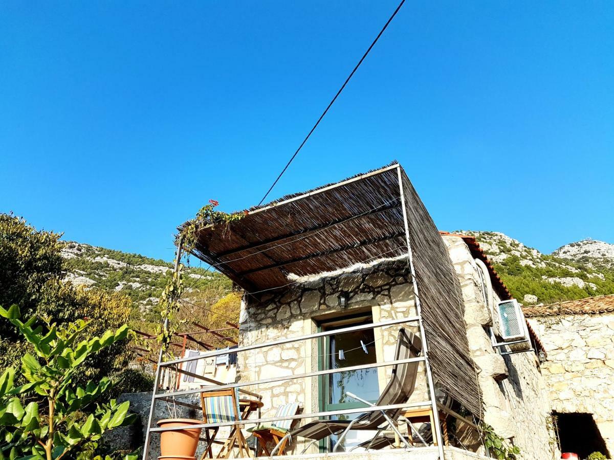 Cottage Melita The Apartment For Animal Lovers Babino Polje Luaran gambar