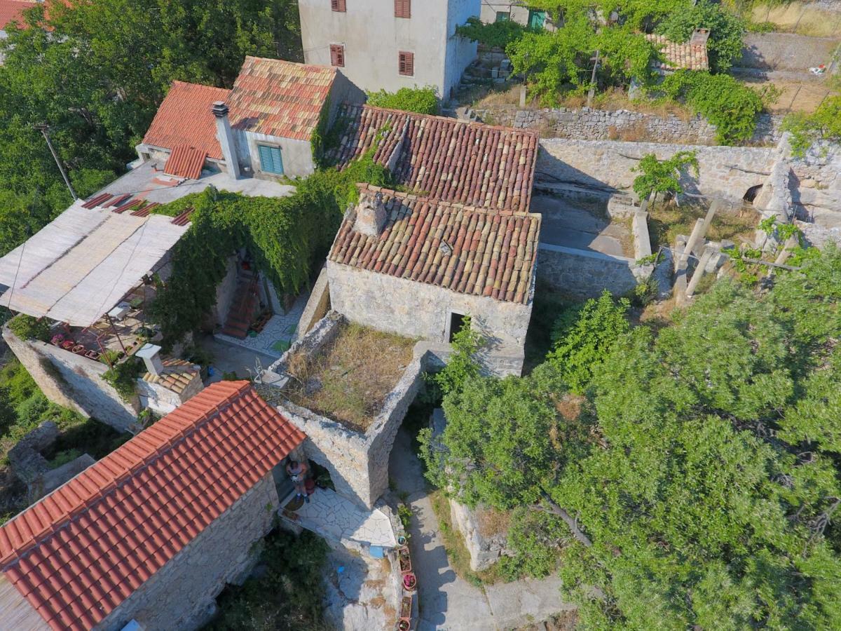 Cottage Melita The Apartment For Animal Lovers Babino Polje Luaran gambar